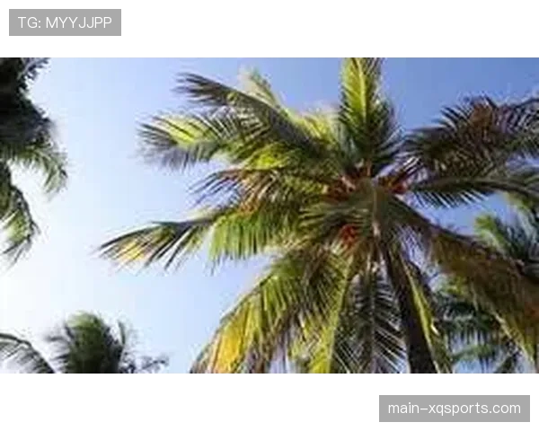 温布利球场决赛日天气预报：晴朗，微风，适宜比赛